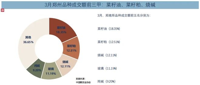 2025年3月：全国期货市场交易数据全解析