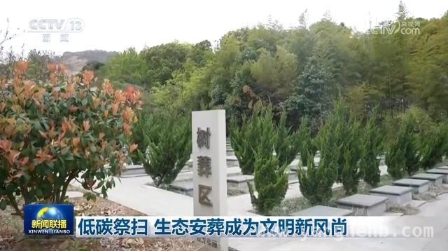 清明祭扫新风尚：绿色低碳成主流 清明临近，绿色祭扫与生态安葬渐成潮流