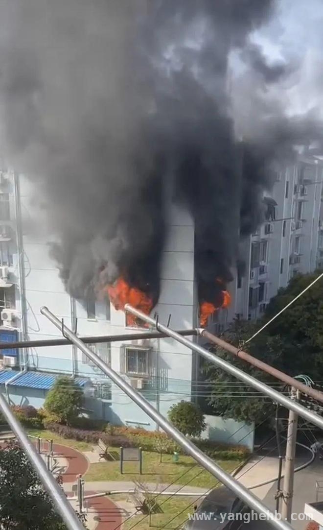 惊！上海沪新小区居民楼突发大火，结局令人欣慰 4月2日上海浦东新区沪新小区火灾，未造成人员伤亡