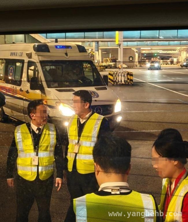 深圳航班两女乘客大打出手，空姐劝架被咬！，飞机上的冲突：两女乘客互殴，空姐遭殃，航班延误