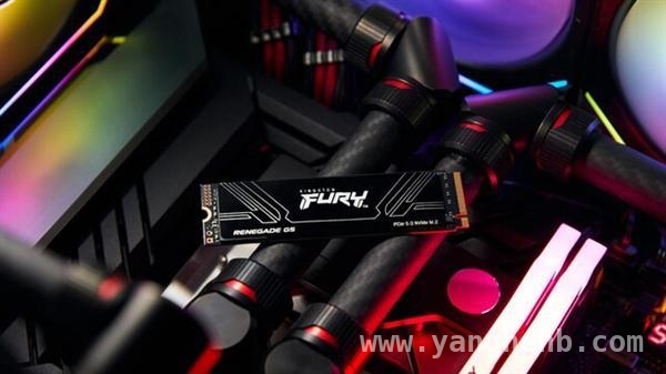 Kingston Fury Renegade G5 SSD：容量、速度、功耗全方位解析，金士顿Fury Renegade G5来袭，PCIe 5.0 SSD市场再添猛将