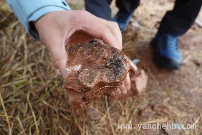天府新区“水晶”风波：科学解读与法律警示，天府新区“寻宝热”背后：“水晶”真相大揭秘