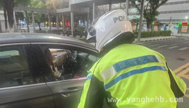 深圳交警接力救援，助病重患者家属及时供血 下班高峰紧急救援！交警护送供血者快速抵达医院