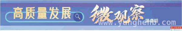 通车不久就现问题，中山金字山互通立交怎么了？，金字山互通立交：质量缺陷背后的监管之问