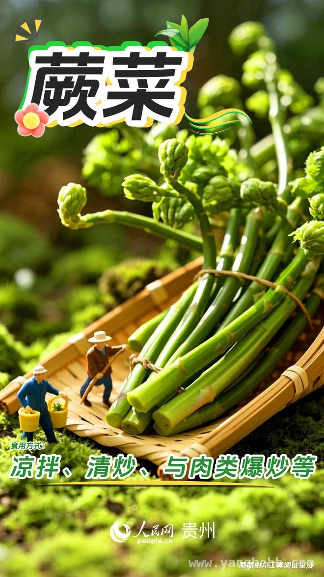 当 AI 遇上贵州春日野菜，会有怎样的惊喜？，贵州春日野菜盛宴来袭，AI 能否为其添彩？