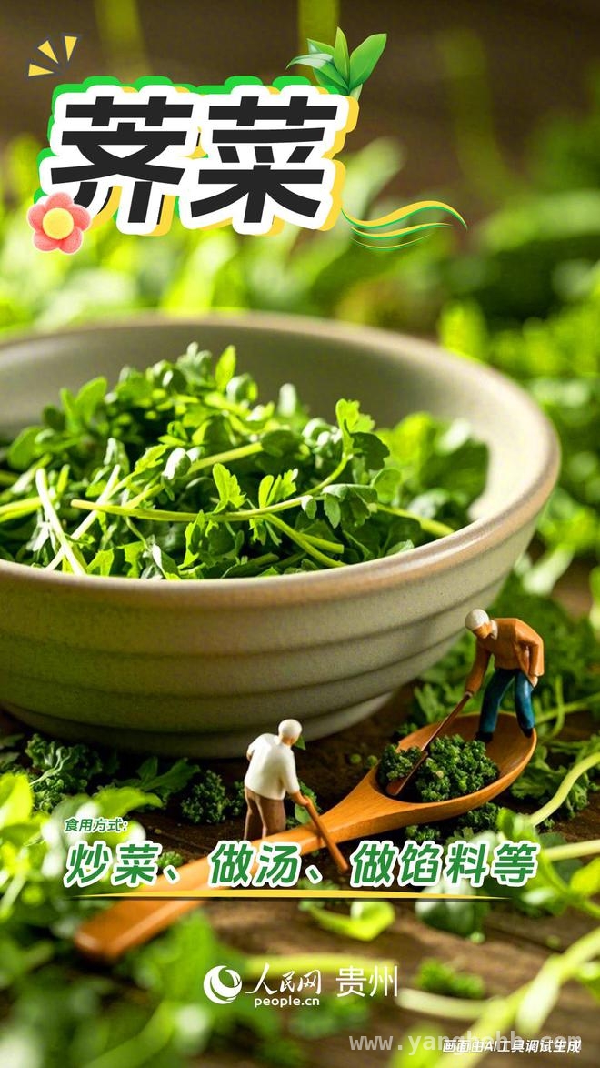 当 AI 遇上贵州春日野菜，会有怎样的惊喜？，贵州春日野菜盛宴来袭，AI 能否为其添彩？