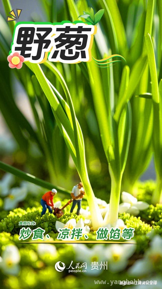 当 AI 遇上贵州春日野菜，会有怎样的惊喜？，贵州春日野菜盛宴来袭，AI 能否为其添彩？