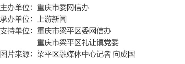 每日八点打卡川西村，看产业振兴如何成就国家级荣誉