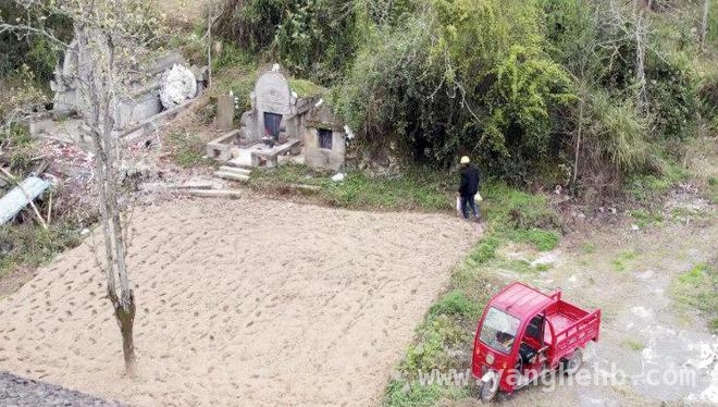 一诺传承：雷家与红军坟的世纪之约
