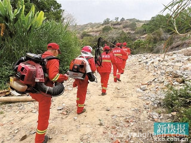 清明广东严阵以待，全力筑牢森林防火防线，清明将至，广东多举措严防森林火灾