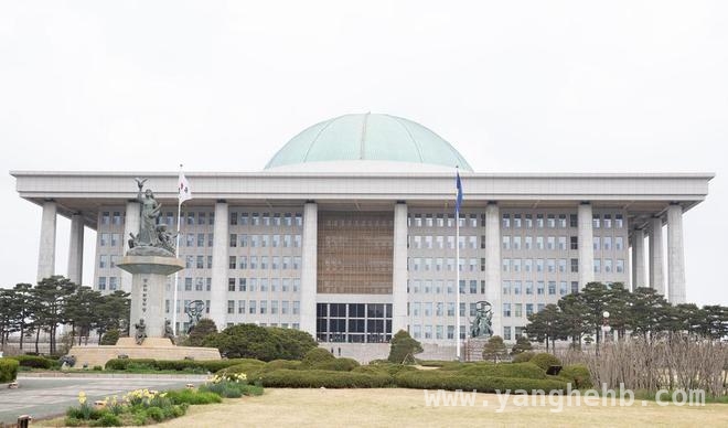 尹锡悦之后，韩国总统之位花落谁家？，韩国执政党接班人之争，谁能接棒尹锡悦？