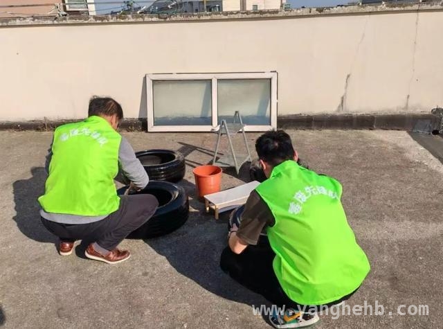 四团镇海港新苑青年引领“无废”新风尚，旧物焕新助力环保，海港新苑青年：用创意与行动，让“无废”理念落地开花