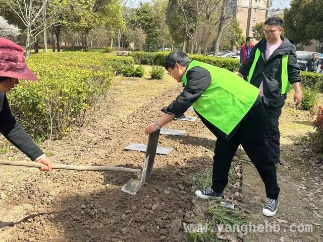 四团镇海港新苑青年引领“无废”新风尚，旧物焕新助力环保，海港新苑青年：用创意与行动，让“无废”理念落地开花