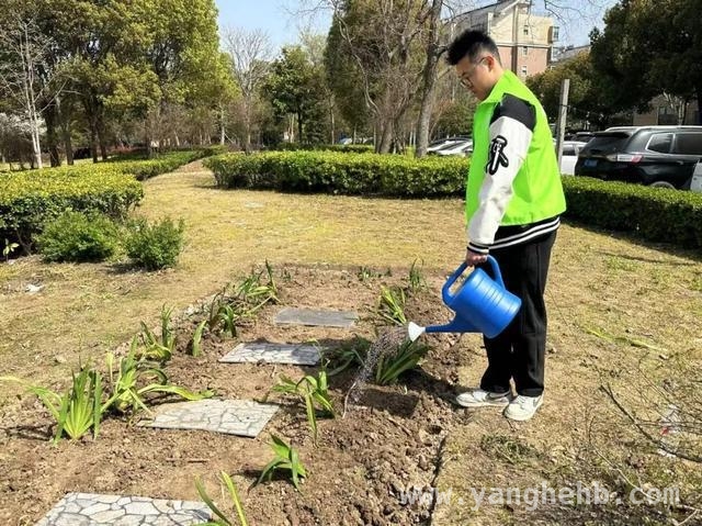 四团镇海港新苑青年引领“无废”新风尚，旧物焕新助力环保，海港新苑青年：用创意与行动，让“无废”理念落地开花