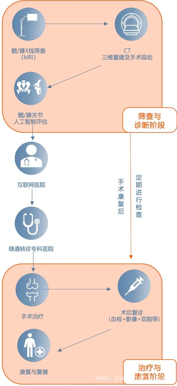 爱康AI技术：为骨健康管理带来全新变革，爱康集团AI发力，重塑骨健康管理新格局