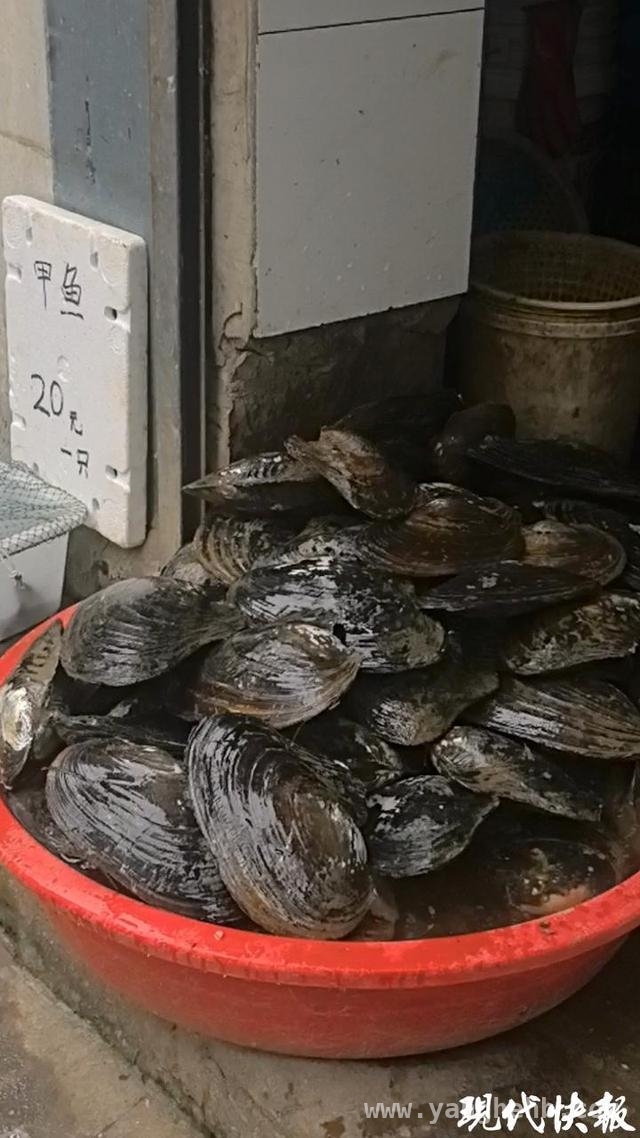 清明节到南京，尝尝这些时令佳肴