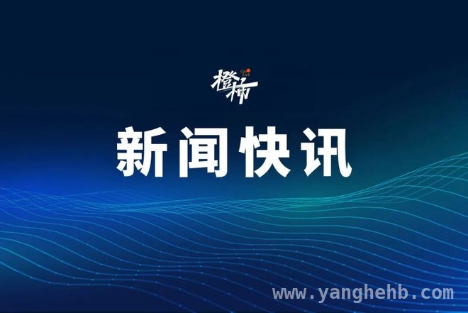 马浚伟：我不是公务员，公职是义工服务
