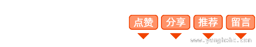 马浚伟：我不是公务员，公职是义工服务