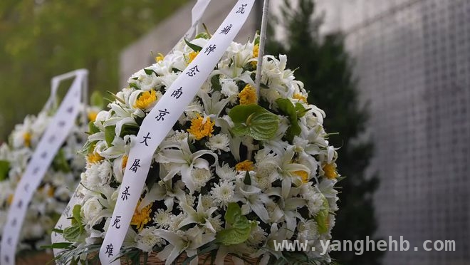 2025清明，南京大屠杀死难者祭典传递哀思与真相，清明时节，南京大屠杀死难者清明祭唤起历史记忆