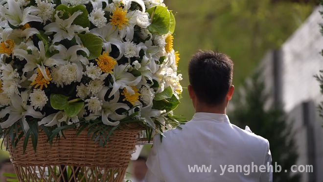 2025清明，南京大屠杀死难者祭典传递哀思与真相，清明时节，南京大屠杀死难者清明祭唤起历史记忆