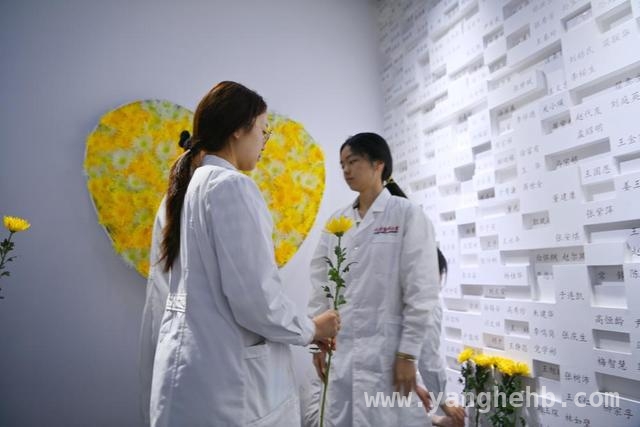 “大体老师”纪念墙：生命意义与医学初心的交融，触摸“大体老师”名字，镌刻医者仁心的温暖传承