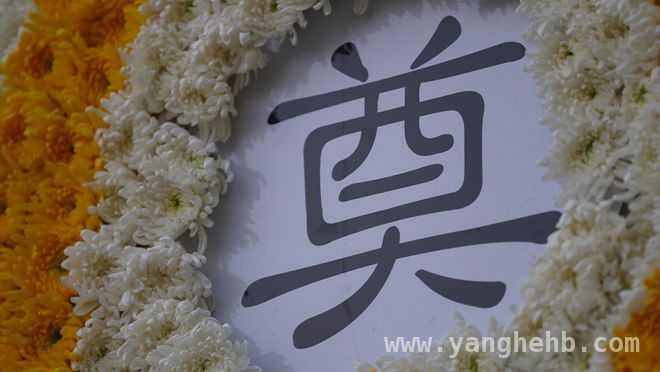 2025南京大屠杀死难者清明祭：家书寄情，铭记历史伤痛