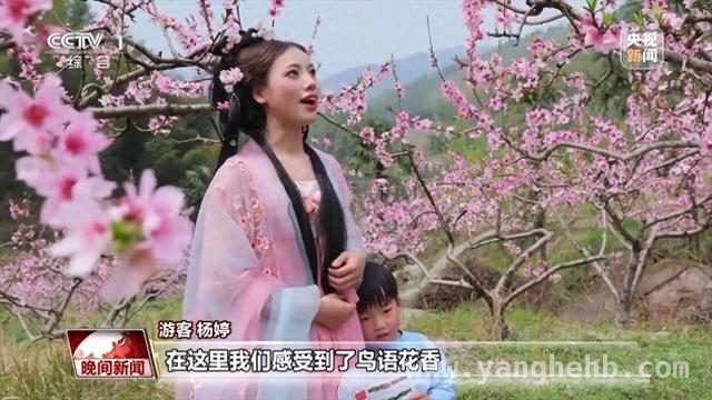 清明假日：旅游热与健康小贴士齐登场