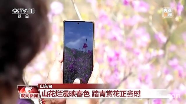 清明假日：旅游热与健康小贴士齐登场