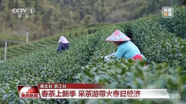 清明假日：旅游热与健康小贴士齐登场