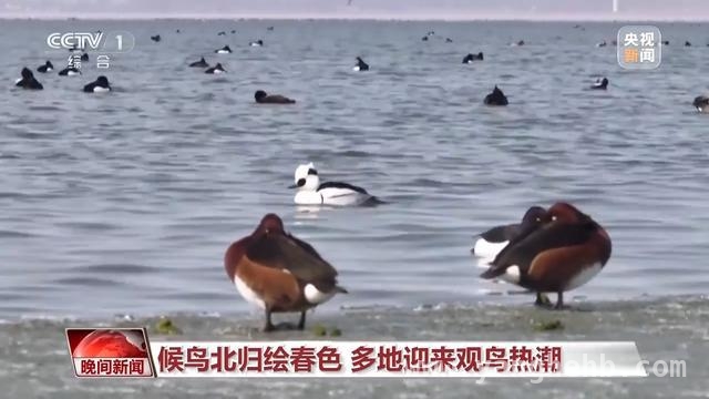 清明假日：旅游热与健康小贴士齐登场