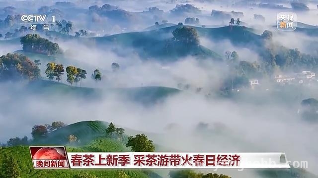 清明假日：旅游热与健康小贴士齐登场