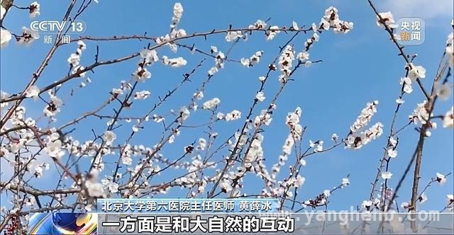 清明假日：旅游热与健康小贴士齐登场