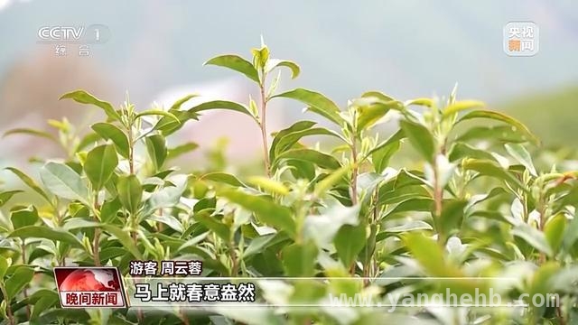 清明假日：旅游热与健康小贴士齐登场