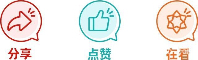 清明祭英烈，中建两支部传承红色与廉洁精神，中建两支部清明宝山祭扫，汲取红色与廉政力量