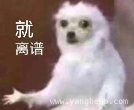 惊爆！特朗普关税政策或由ChatGPT操刀，全球贸易恐掀飓风，特朗普全新关税政策疑云：竟是AI在“治国”？
