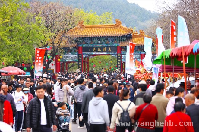千年青檀寺古会，清明时节焕新彩，青檀寺古会：古韵与新潮交织的清明之约
