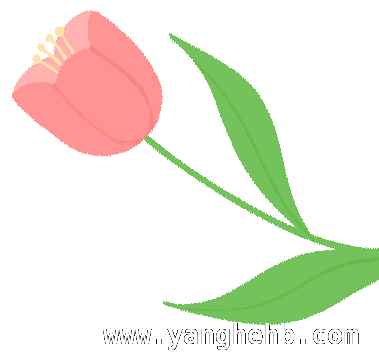 古猗园春季活动来袭，票根福利等你解锁！