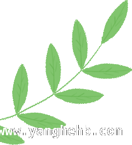 古猗园春季活动来袭，票根福利等你解锁！