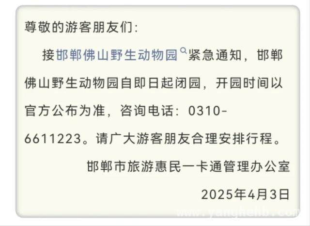 河北邯郸一熊从动物园出逃，市民需谨慎！