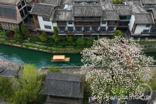 3. 蛇年春日，用镜头定格“春色”的诗意与美好，2. “春色”摄影展开启，捕捉蛇年春日古镇之美