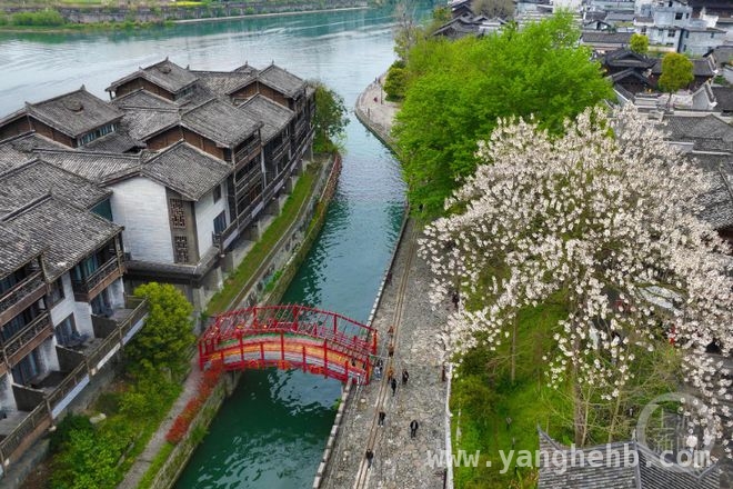 3. 蛇年春日，用镜头定格“春色”的诗意与美好，2. “春色”摄影展开启，捕捉蛇年春日古镇之美