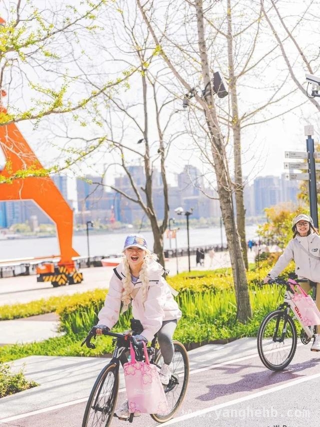 杨浦滨江春日盛景，邀你共赏烂漫春光 杨浦滨江的春天，浪漫与美好交织