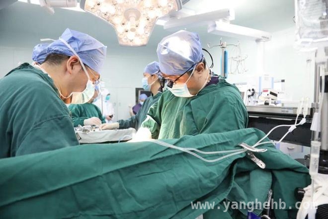 科技创新显成效：“人工心脏”升级助力患者康复