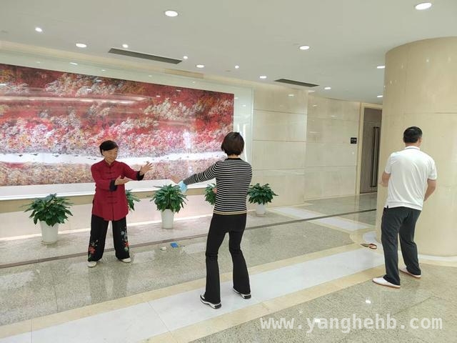 太极高手余姗扬走进上海报业集团，“八法五步”功法开班