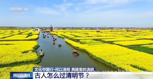 解锁古人清明密码：祭祀、假期与柳文化