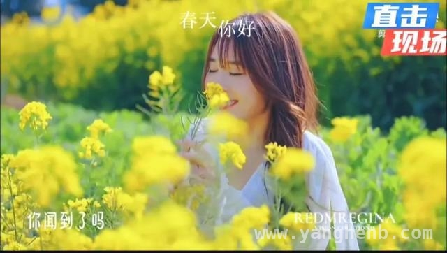 跟着车轮，领略崇明岛的春日魅力