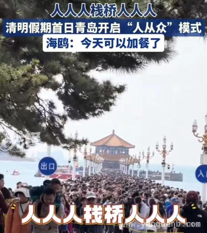 清明出行实况：车堵人挤，景区热闹非凡，清明出游大揭秘：各地景区人从众！