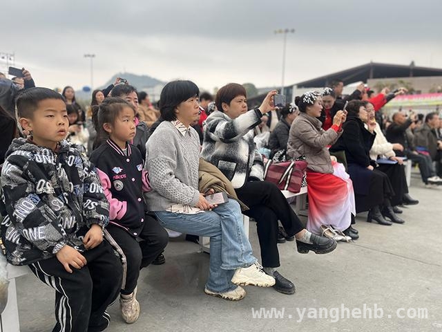 桐梓“村晚”朗诵会：用声音拥抱春天 桐梓春季“村晚”朗诵会：让春日乡村诗意盎然