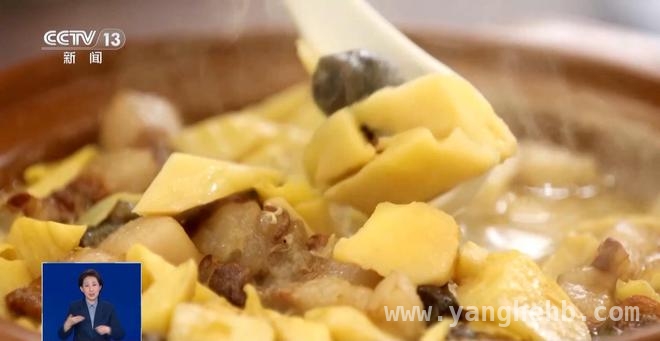 贵州野菜、安徽春笋，清明假期的美食绝配 贵州安徽清明游，野菜春笋开启春日美味篇章