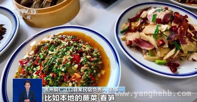 贵州野菜、安徽春笋，清明假期的美食绝配 贵州安徽清明游，野菜春笋开启春日美味篇章